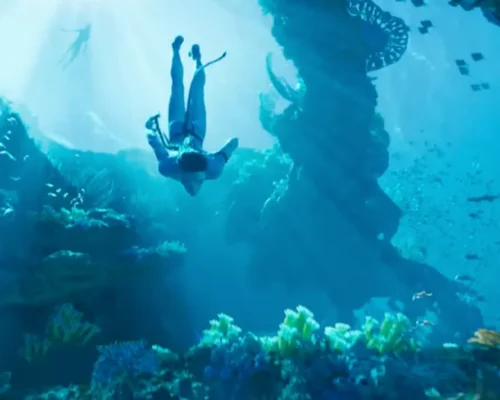 Il corallo nelle storie raccontate da Hollywood